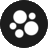 twobikesonepup.com favicon
